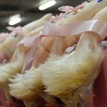 Abattoirs Rungis