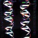Protéines ADN