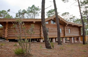 Maison Cocreative façade 2