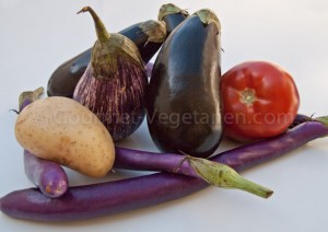 Ingrédients Lasagne aubergine