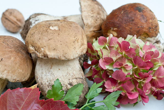 Bouquet Cèpes1